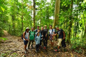 スマトラのジャングルでオランウータン探しの旅